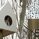 Illustration for article titled A Treehouse Tenement For 76 Birds and One Human